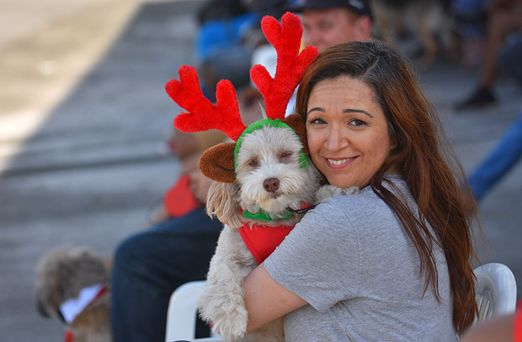 A pet lover and Santa’s reindeer