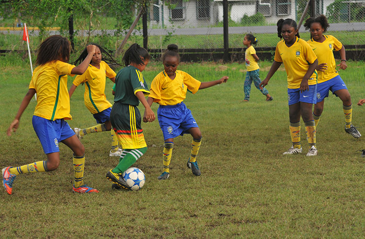 The final of this year’s MoPH Smalta Girls u-11 Football tournament is expected to be a tense affair today at the Ministry of Education Ground (Adrian Narine Photo)