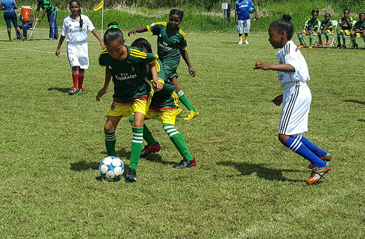 Girls’ action commences today at the GNS ground in the Smalta/MoPH U-11 tournament.