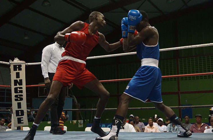 Colin `Superman’ Lewis connects with a  left to St.Lucia’s Nathan Ferrari .