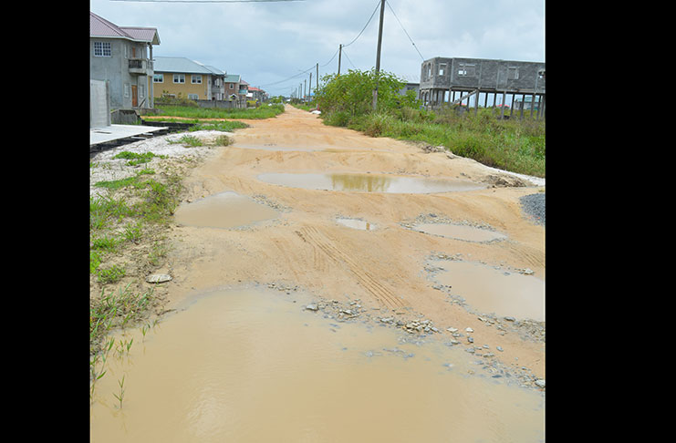 A section of the deteriorating street of First Avenue, Plantation Providence, East Bank Demerara