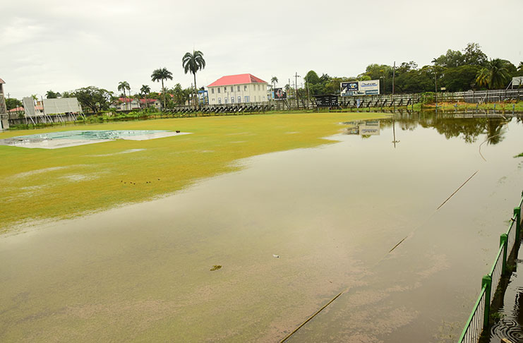 The flooded outfield of the GCC ground Bourda. (Adrian Narine photo)