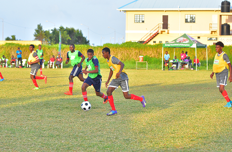 Tense quarter-final action is expected today in the Milo Schools Football tournament