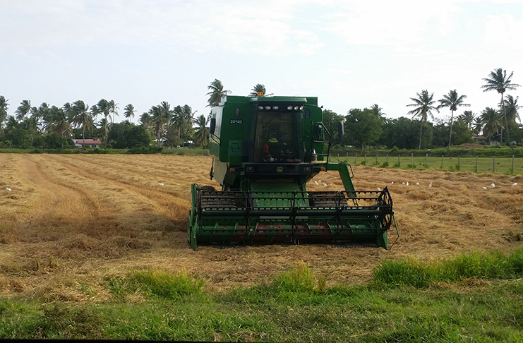 A combine in a harvested field in Region Two