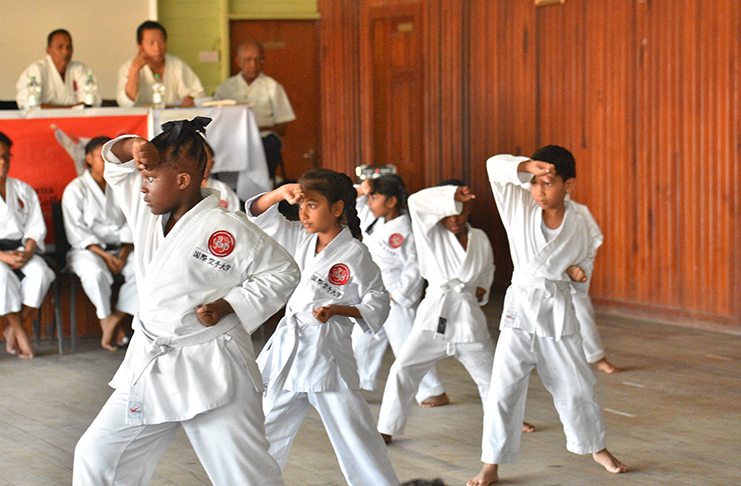 Young white belt karatekas go through their paces. (Samuel Maughn photo)