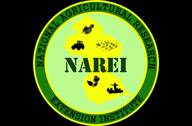 narei