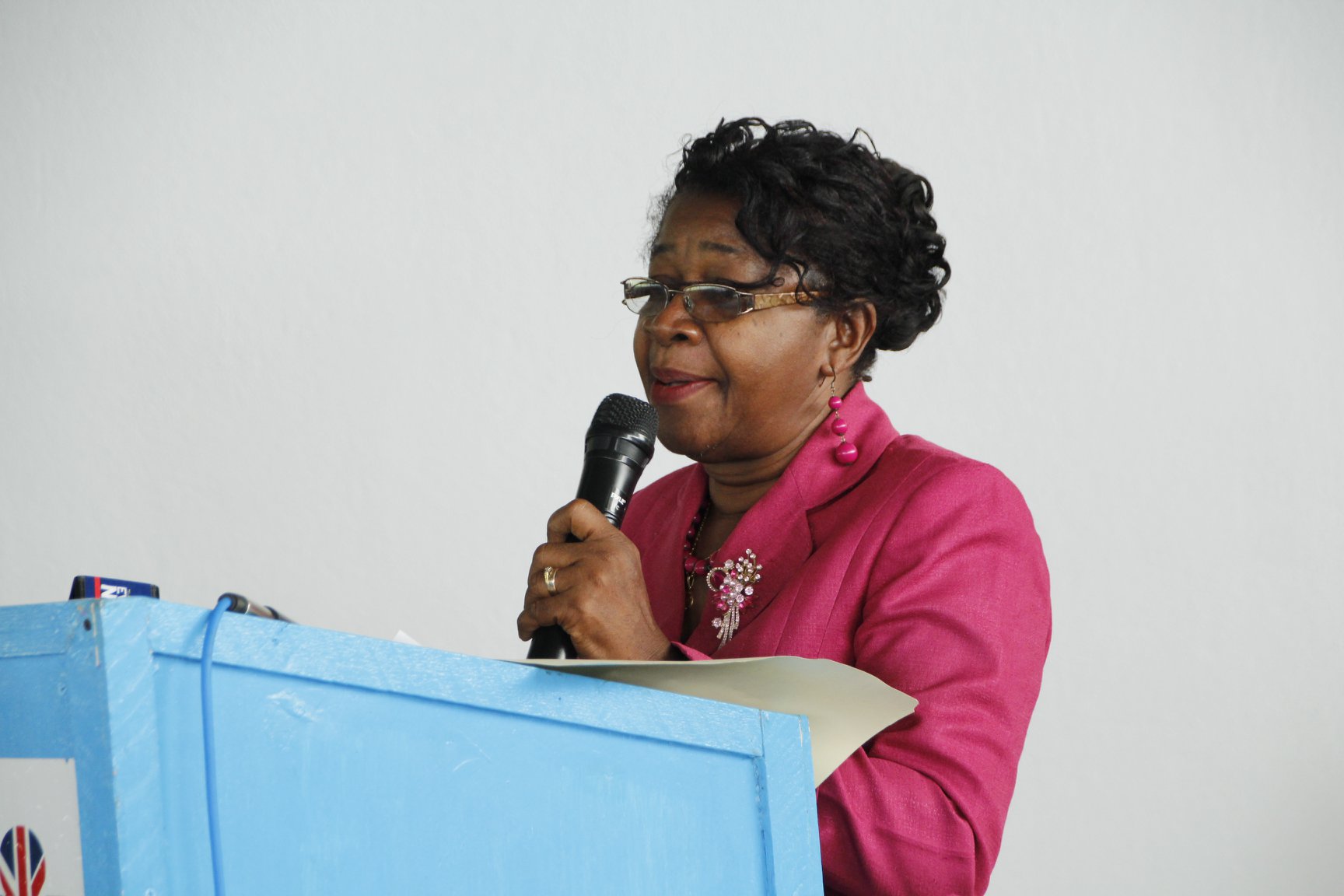 Director of the National Centre for Educational Resource Development (NCERD), Jennifer Cumberbatch, as she addressed the gathering.