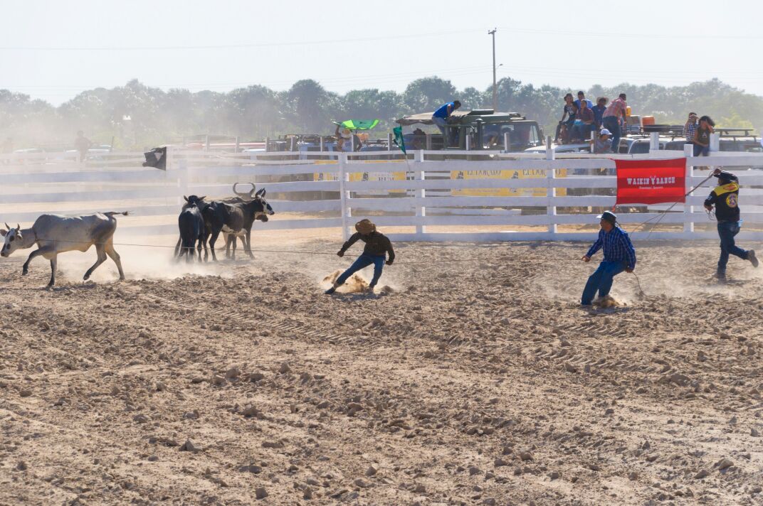 A scene from Rodeo 2018 that thrilled the large Lethem gathering.