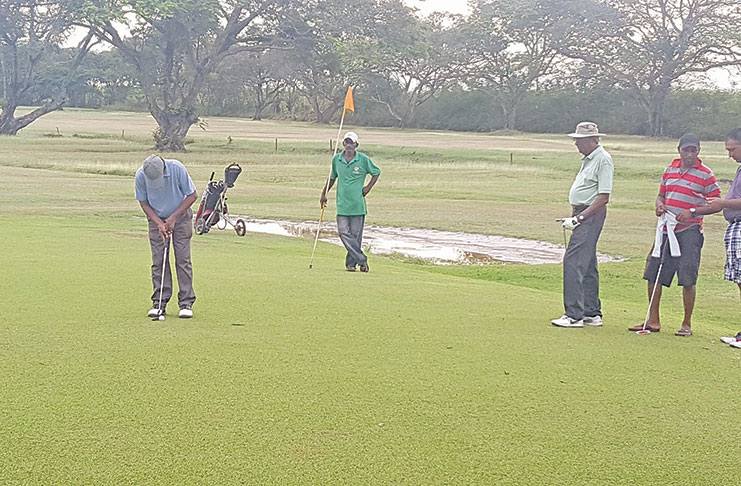 Golf returns to the Lusignan Golf Course tomorrow.