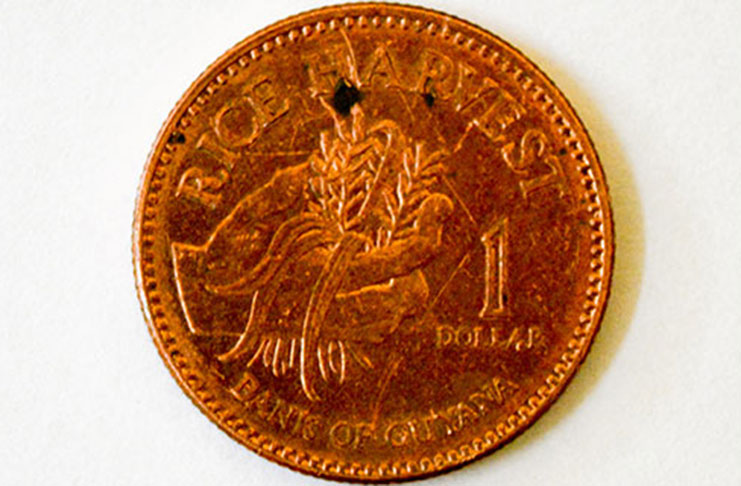 The one-dollar coin