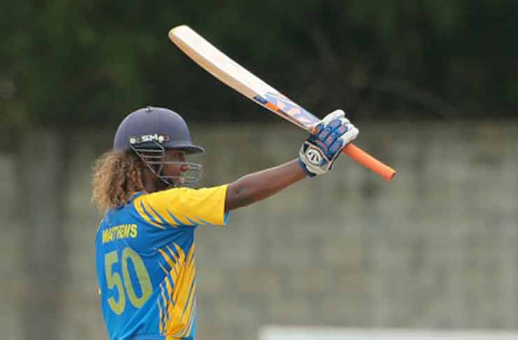 West Indies opener Hayley Matthews guided Barbados to victory.