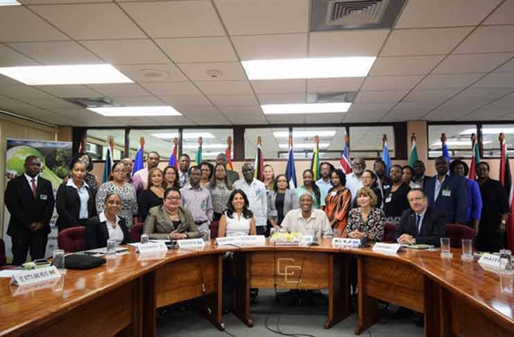 Regional delegates at the biodiversity workshop at the CARICOM Secretariat on Thursday