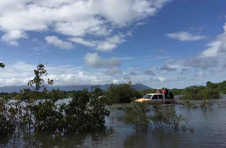 A vehicle crosses an inundated roadway near Lethem. (Aaliyah Anthony photo)