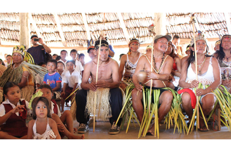 This photo of Indigenous people from 15 communities of the Wapichan tribe in the South Rupununi was taken back in 2016 when they met in the mixed Makushi/Wapichan village of Shulinab to join a global campaign in support of Indigenous peoples and community land rights