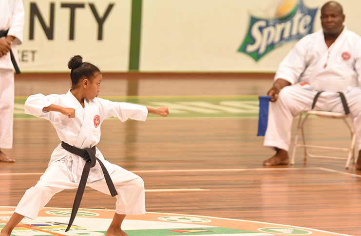 A pillar of focus! In this Samuel Maughn photo, a young lady displays her kata stance in front of the judges.