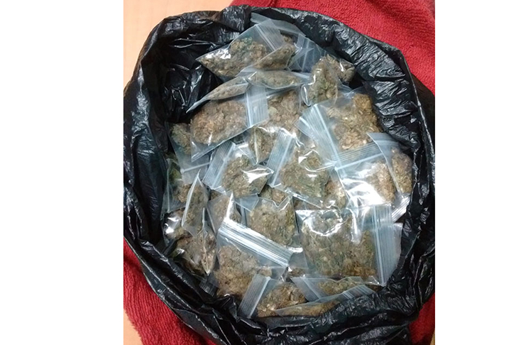 The ziploc bags that were found filled with cannabis