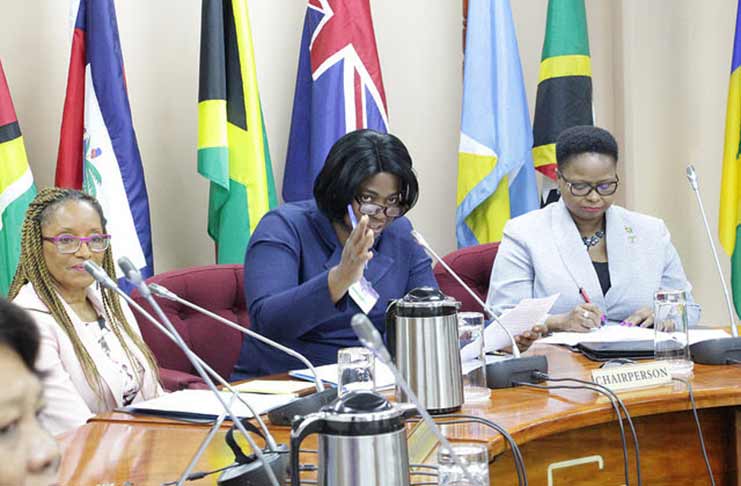 At the recent RNB confab here are, seated from left: Coordinator Human Development Beverly Reynolds; Chief Nursing Officer (CNO) of Grenada, Nester Edwards; and Minister of Public Health Volda Lawrence