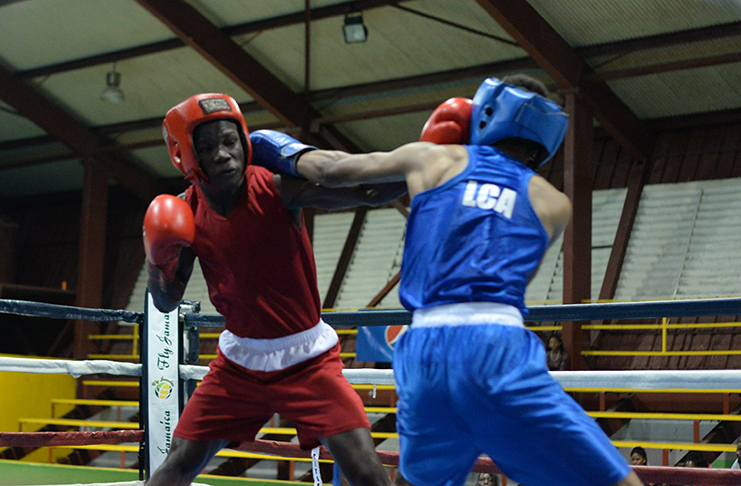 Guyana’s Shaquel Wright (left) and St. Lucia’s Sherwin Christopher both connected with left jabs during their lightweight final at the National Gymnasium on Saturday night before the referee stopped the contest in Wright’s favour at two minutes 42 seconds of the second round (Delano Williams photo).