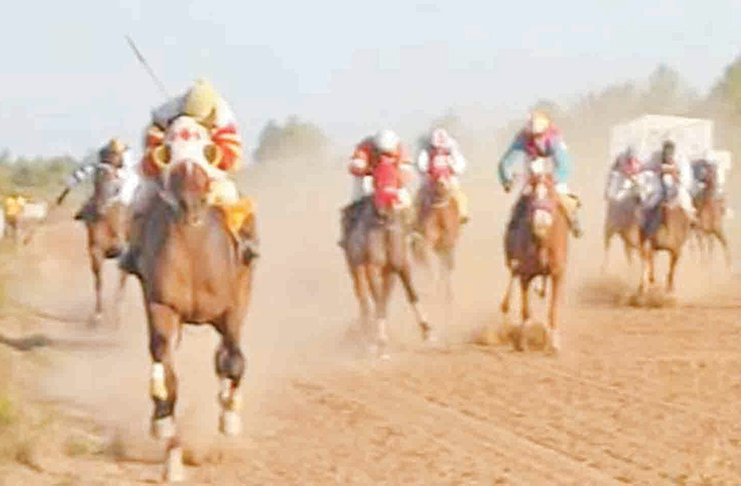 An action-packed day of racing is anticipated today.