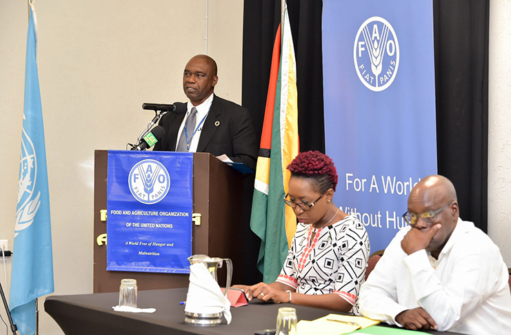 Country Representative of the United Nations Food and Agriculture Organisation (UNFAO), Mr. Reuben Robertson gave remarks at the NCCC Workshop