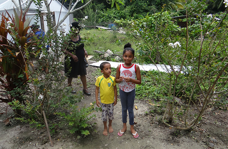 These cute young ones were only too willing to pose for a picture in front of their residence at Grant Wide Garden, Pomeroon