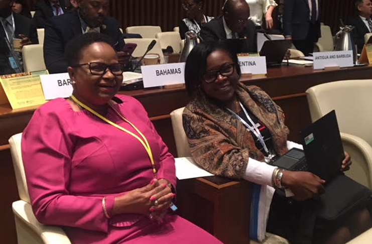 Minister of Public Health, Hon. Volda Lawrence, MP and Dr Karen Boyle at Monday's session of the 56th Directing Council of PAHO (Photo by Francis Q. Farrier)