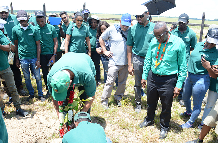 Agriculture Minister Noel Holder flanked by officials during the planting exercise done in Ebini during National Tree Day held on Friday.