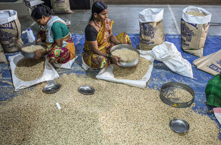 Sorting grains at a market in India