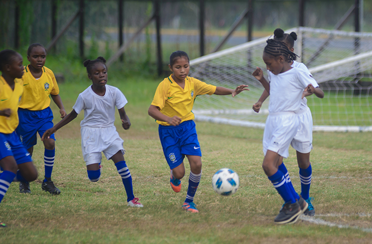 Rounds 2 and 3 of the Smalta Girls U-11 tournament are set for today.