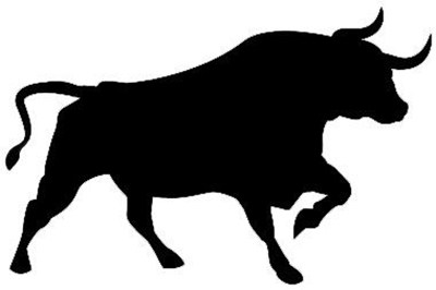 CATCH A BULL BY THE TAIL - Guyana Chronicle