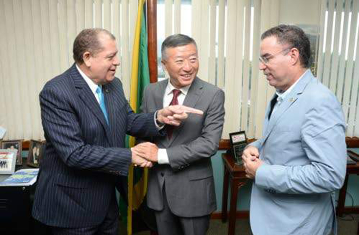 Minister of Industry, Commerce, Agriculture and Fisheries Audley Shaw (left) makes a point to China's Ambassador to Jamaica Tian Qi (centre) and Minister without Portfolio in the Ministry of Economic Growth and Job Creation with responsibility for Land, Environment, Climate Change and Investment Daryl Vaz during a courtesy call made by the ambassador last Wednesday. (Photo: Joseph Wellington)