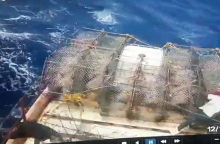 At extreme left shows the fisherman being tossed through the barrier while his colleague struggled to hold his ground in the rough sea