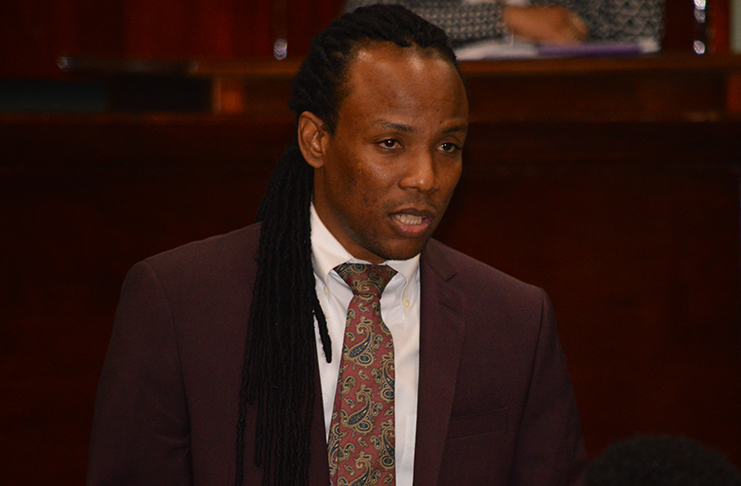 Government Member of Parliament Jermaine Figueira making his contribution