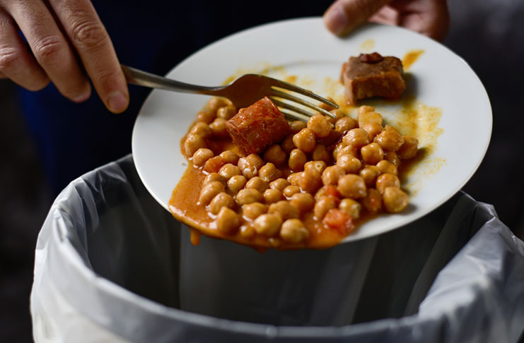 Food isn’t the only thing that is wasted when it goes uneaten. All of the resources, money and labour that go into making it are also lost. ©Nito/shutterstock.com