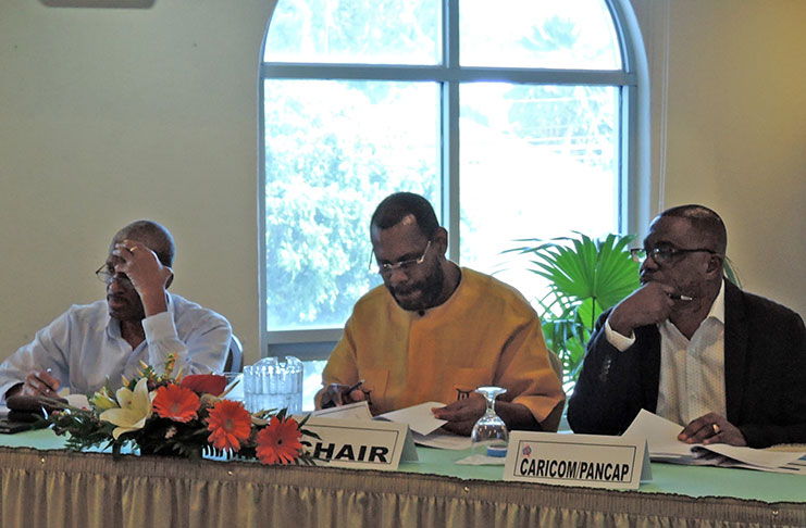 Seated from left to right: Assistant Secretary-General, Human and Social Development, CARICOM Secretariat, Dr. Douglas Slater; Chair, Priority Areas Coordinating Committee (PACC) and Deputy Chair of the PANCAP Executive Board, Dr. Donald T. Simeon and PANCAP Director Dereck Springer