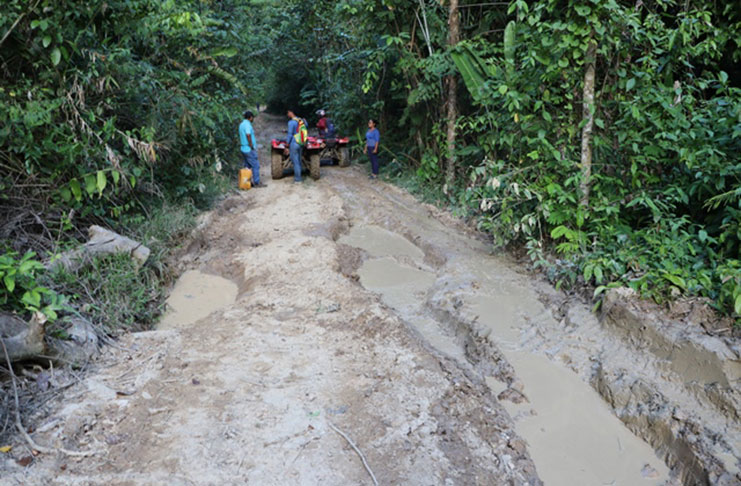 A section of the road which will be upgraded leading into Yurong Paru