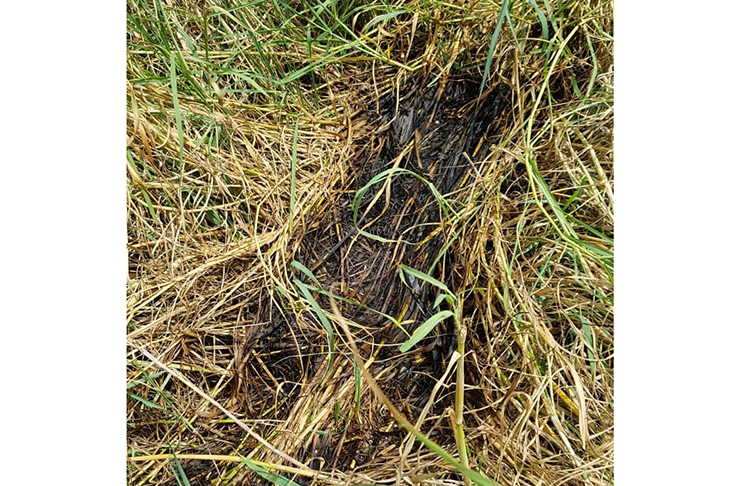 The area where the body of Cedrick Riley was found