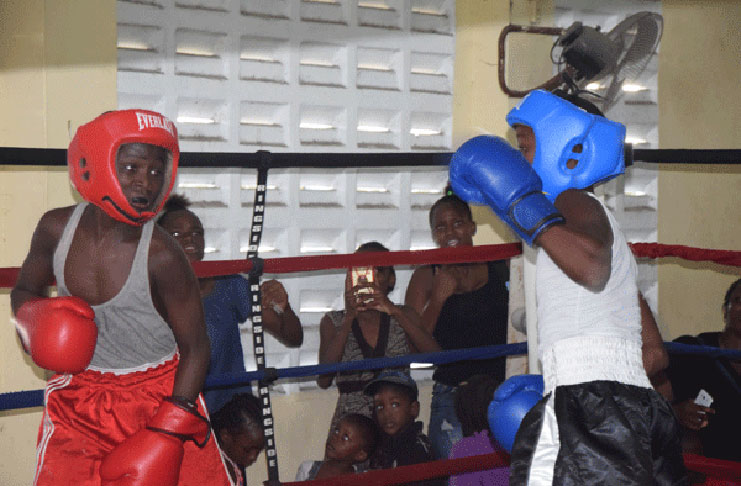 Action at the Andrew ‘Six-head’ Lewis Gym (File photo)