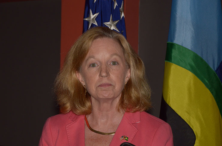 US Ambassador Sarah Ann-Lynch
