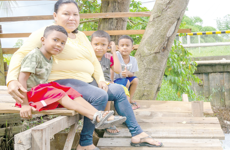 Ann Fredericks and her nephews and grandson recently returned from Venezuela and are seen enjoying the scenic beauty of the  water passing through the  Land of Canaan  five-door sluice (Delano Williams photo)