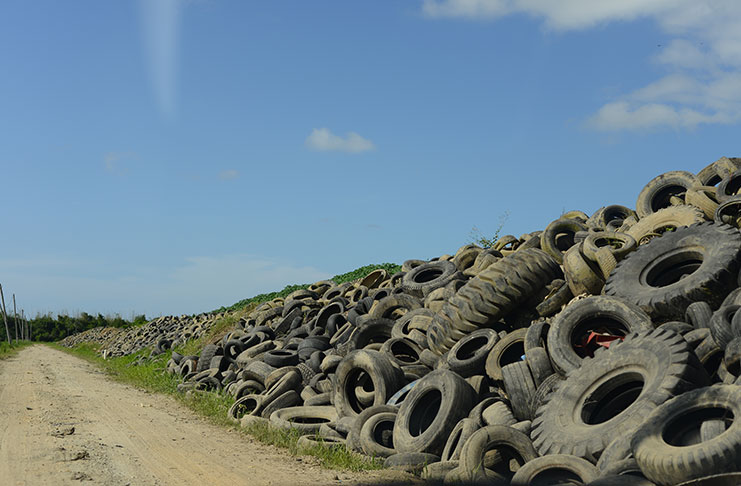 Some of the tires being stored separately at the Haags Bosch Landfill (Samuel Maughn photo)