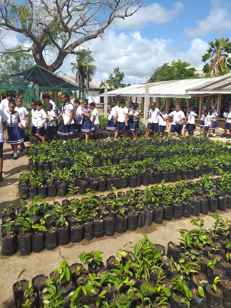 NAREI’s Mon Repos Plant Nursery - Guyana Chronicle