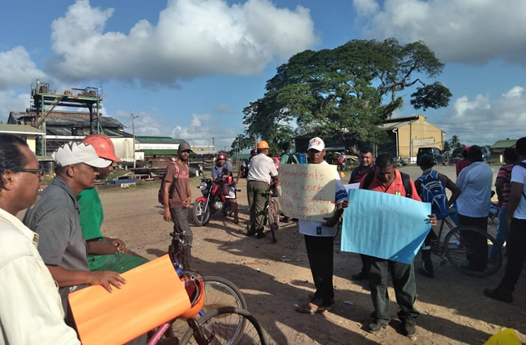 Sugar workers at the Blairmont Estate backed by the GAWU have been protesting the re-employment of a staff who was previously laid off during the restructuring of the industry