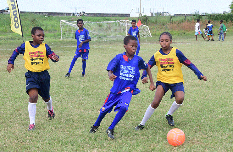 The semifinals of the 2019 COURTS Pee Wee tournament will take place today at the Ministry of Education ground.