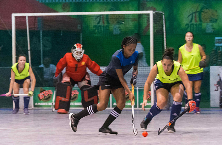 The Guyana Hockey Board will be hosting a series of tournaments in the weeks ahead.