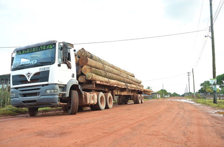 The Linden to Kwakwani road passing through Ituni