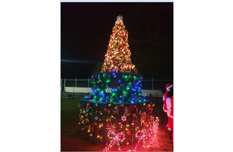 The Suddie Supreme Court Christmas tree light-up