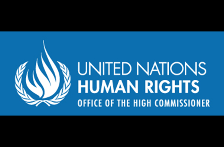 The United Nations (UN) Human Rights Council