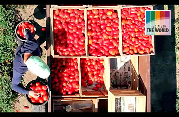 Food loss and waste is the decrease in quantity or quality of food along the food supply chain
