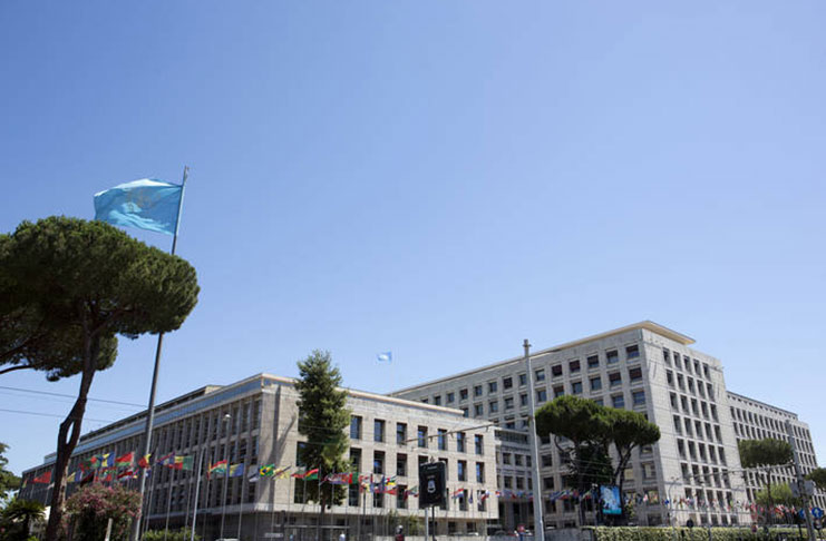 FAO headquarters in Rome